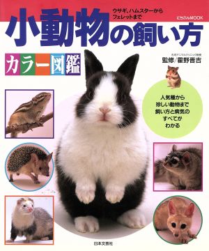 小動物の飼い方カラー図鑑 にちふんMOOK