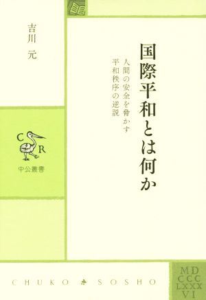 国際平和とは何か 人間の安全を脅かす平和秩序の逆説 中公叢書