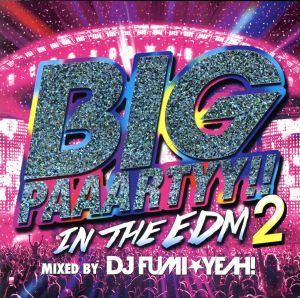 BIG PAAARTYY!!IN THE EDM 2 mixed by DJ FUMI★YEAH！