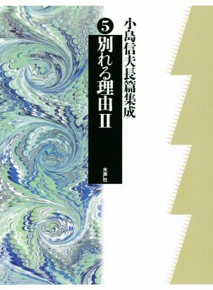 別れる理由(Ⅱ) 小島信夫長篇集成5