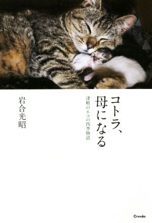 コトラ、母になる 津軽のネコの四季物語