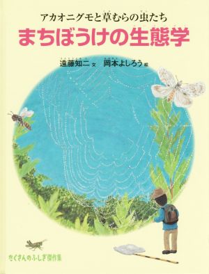 まちぼうけの生態学 アカオニグモと草むらの虫たち たくさんのふしぎ傑作集