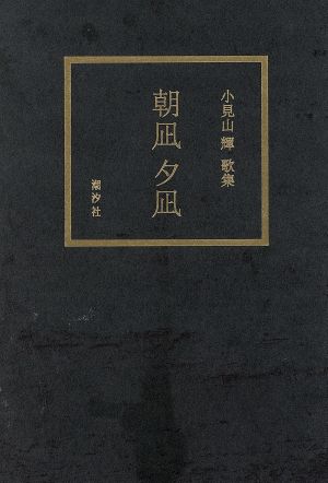 朝凪夕凪 小見山輝歌集 龍叢書