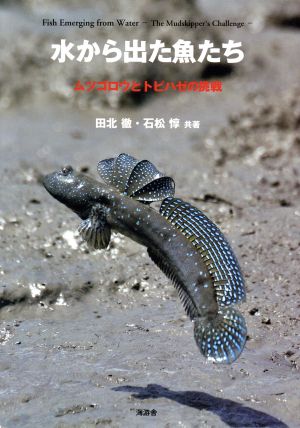 水から出た魚たち ムツゴロウとトビハゼの挑戦