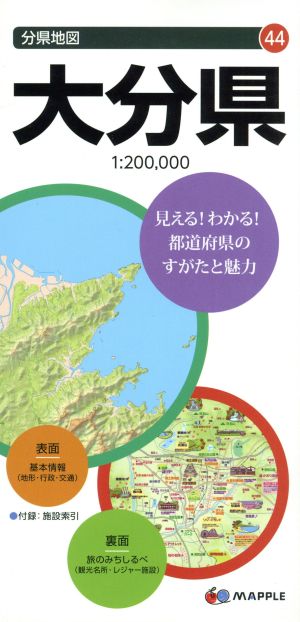 大分県 分県地図44