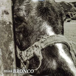 missBRONCO 01