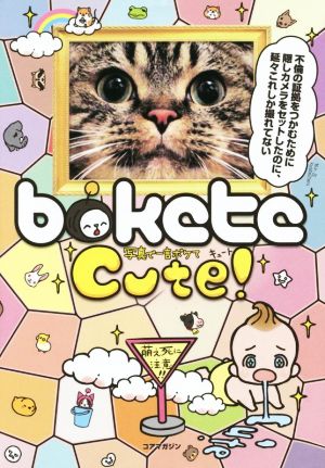 bokete 写真で一言ボケてCute！