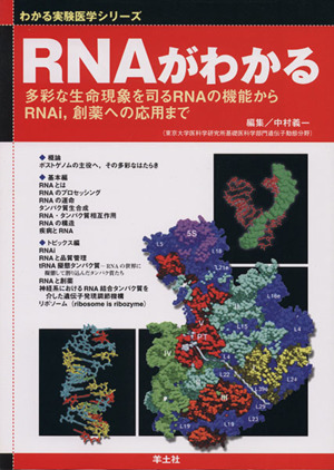 RNAがわかる 多彩な生命現象を司るRNAの機能からRNAi,創薬への応用まで わかる実験医学シリーズ