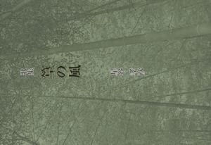 歌集 篁の風 濤声叢書第23篇