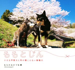 ももとじん 小さな甲斐犬と耳の聴こえない雑種犬