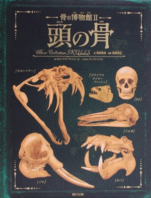 頭の骨 骨の博物館Ⅱ