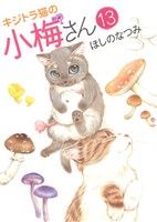 キジトラ猫の小梅さん(13) ねこぱんちC