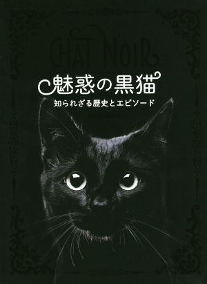 魅惑の黒猫 知られざる歴史とエピソード