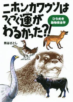 ニホンカワウソはつくづく運がわるかった？ ひらめき動物保全学