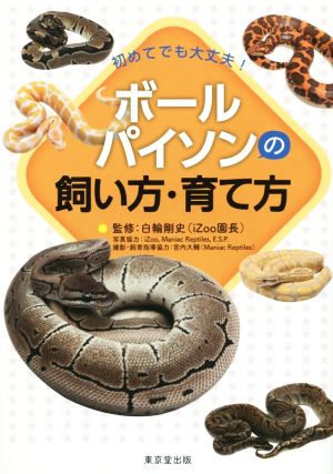 初めてでも大丈夫！ ボールパイソンの飼い方・育て方