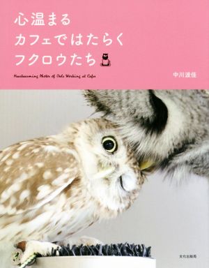 心温まるカフェではたらくフクロウたち