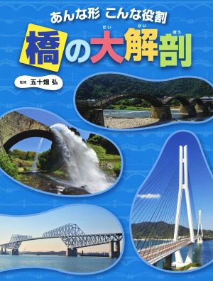 橋の大解剖 あんな形こんな役割 調べる学習百科