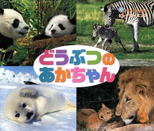 どうぶつのあかちゃん(2014-3) サンチャイルドビッグサイエンス