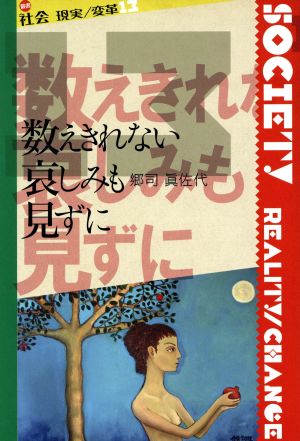 数えきれない哀しみも見ずに 叢書 社会 現実/変革13