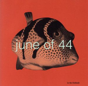 【輸入盤】in the fishtank