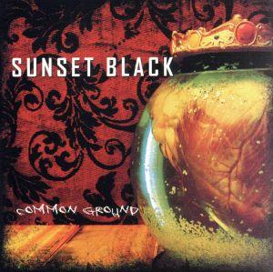 【輸入盤】Common Ground