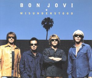 【輸入盤】Misunderstood