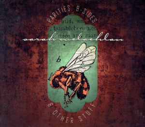 【輸入盤】Rarities B-Sides & Other Stuff