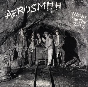 【輸入盤】Night in the Ruts