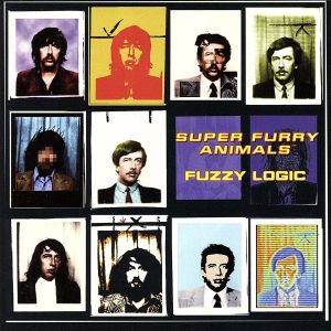 【輸入盤】Fuzzy Logic