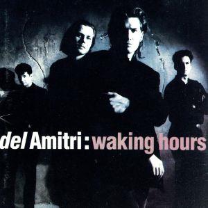 【輸入盤】Waking Hours