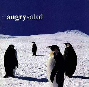 【輸入盤】Angry Salad