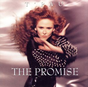 【輸入盤】Promise