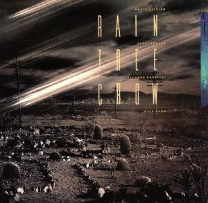 【輸入盤】Rain Tree Crow