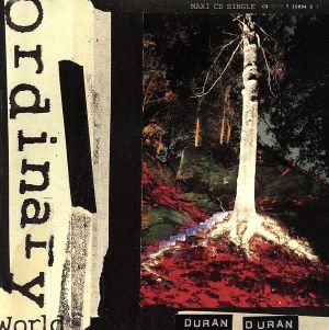 【輸入盤】Ordinary World