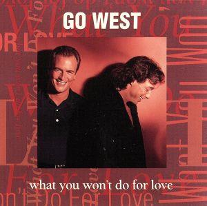 【輸入盤】What You Won't Do for Love