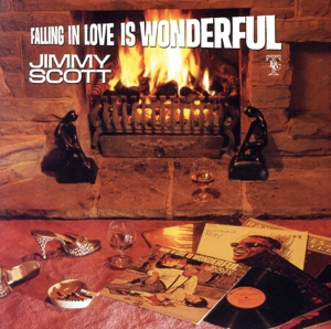 【輸入盤】Falling in Love Is Wonderful