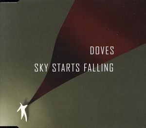 【輸入盤】Sky Starts Falling (Rmx)