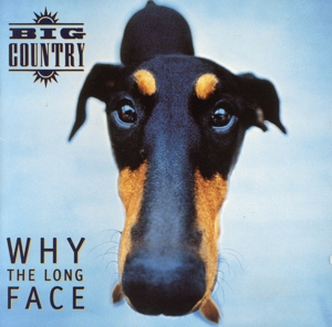 【輸入盤】Why the Long Face