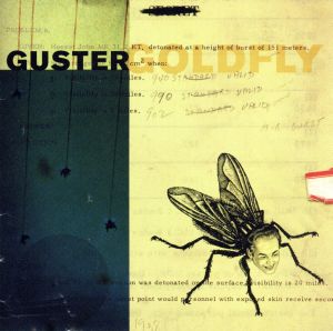 【輸入盤】Goldfly