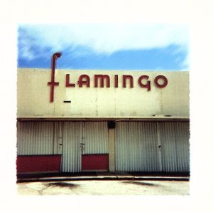 【輸入盤】Flamingo