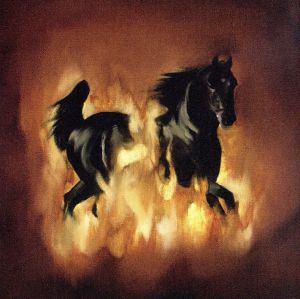 【輸入盤】Besnard Lakes Are the Dark Horse