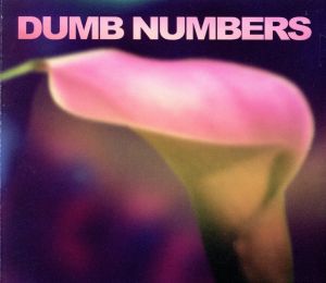 【輸入盤】Dumb Numbers