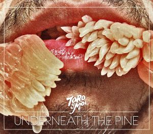 【輸入盤】Underneath the Pine