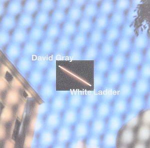 【輸入盤】White Ladder