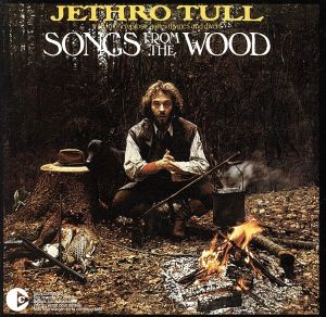 【輸入盤】Songs from the Wood