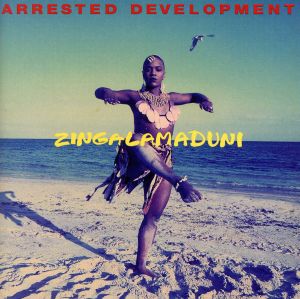 【輸入盤】Zingalamaduni