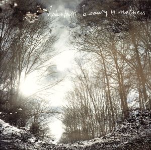 【輸入盤】Beauty in Madness