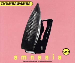 【輸入盤】Amnesia