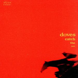 【輸入盤】Catch the Sun