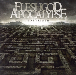 【輸入盤】Labyrinth